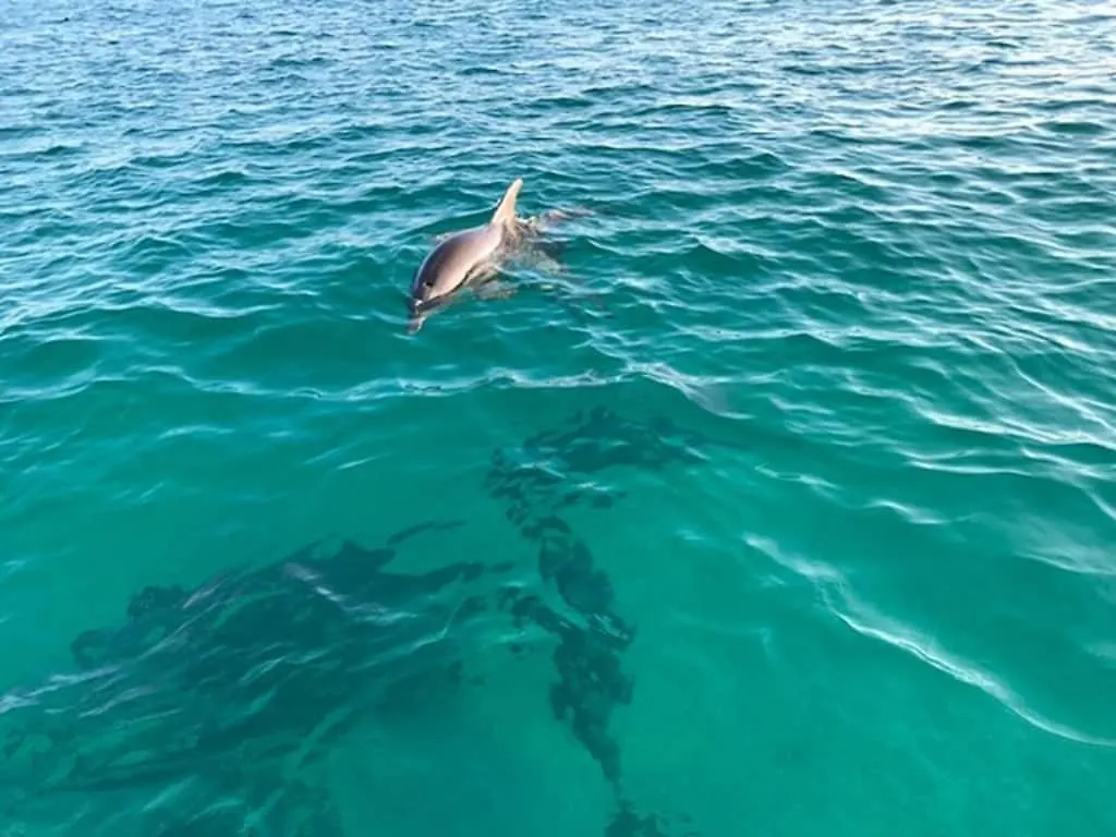 Nothin But Time By Beach Haven Vacation Rentals Panama City Beach Holiday home